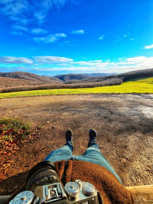 Bild 2 von Cristian zu Mufflon - Randy - Wolljacke