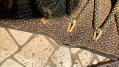 Imagen 1 de Frank sobre Naglev - Unico Combat WP - Zapatillas multideporte