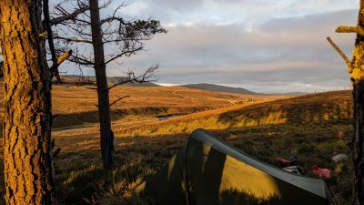 Bild 3 von Michael zu Nordisk - Gormsson -10 Mummy - Kunstfaserschlafsack