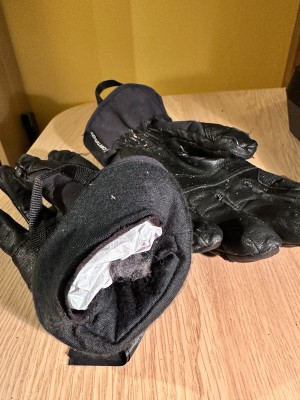 Foto 1 van Conal bij Ortovox - Alpine Pro Glove - Handschoenen