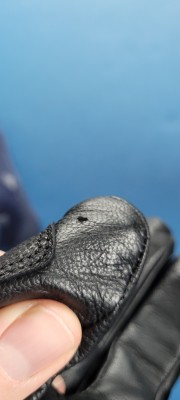 Foto 1 van marco bij Ortovox - Alpine Pro Glove - Handschoenen