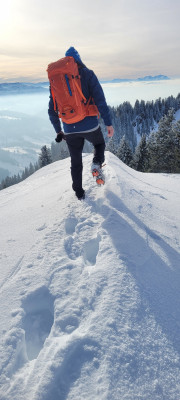 Image 2 from Premysl of Ortovox - Peak 35 - Mountaineering backpack