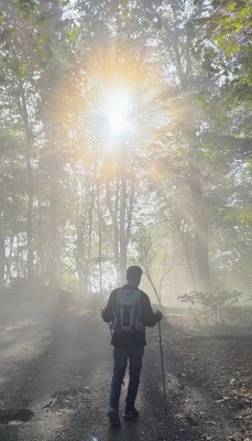 Bild 1 av Daniel till Osprey - Talon 11 - Dagsryggsäck