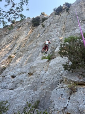Image 1 from Maria of Petzl - Sama - Climbing harness