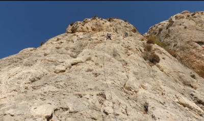 Bild 1 von Siegfried zu Petzl - Spirit Bent Gate - Schnappkarabiner