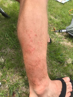 Bild 1 von Timo zu Pinewood - Finnveden Classic Trousers - Trekkinghose