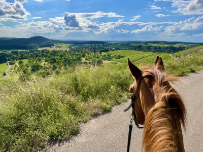 Imagen 1 de Carmen sobre POC - Essential Road Light Socks - Calcetines de ciclismo