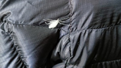 Bild 2 av Jingwen till Rab - Women's Electron Pro Jacket - Dunjacka