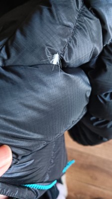 Bild 5 av Jingwen till Rab - Women's Electron Pro Jacket - Dunjacka