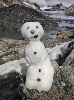 Bild 1 av Egon till Rafiki - Beta - Shorts