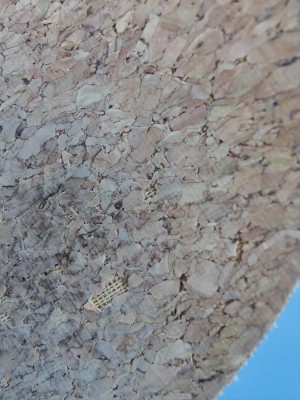 Imagen 1 de Michael sobre Reef - Cushion Phantom Cork - Sandalias