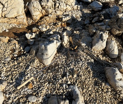 Tuotetta Robens - Fire Fork - Grillivarras koskeva kuva 1 k&auml;ytt&auml;j&auml;lt&auml; Tihana