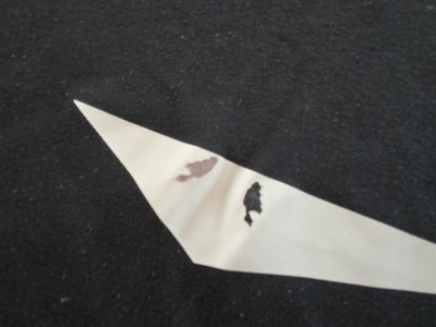 Imagen 1 de Timon sobre Salewa - Solidlogo Dry T-Shirt - Camiseta funcional