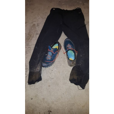 Bild 1 av Werner till Salewa - Speed Beat GTX - Skor trailrunning