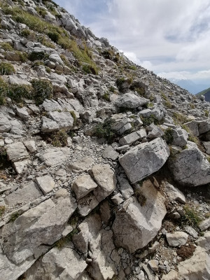 Tuotetta Salewa - Women's Alp Mate Mid WP - Vaelluskengät koskeva kuva 2 k&auml;ytt&auml;j&auml;lt&auml; Eva