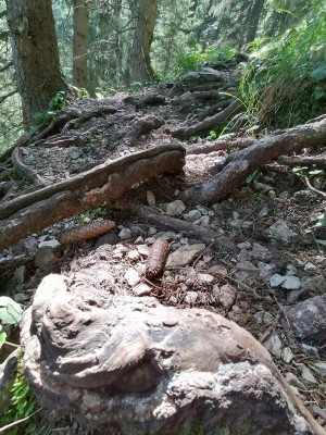 Tuotetta Salewa - Women's Alp Mate Mid WP - Vaelluskengät koskeva kuva 3 k&auml;ytt&auml;j&auml;lt&auml; Eva