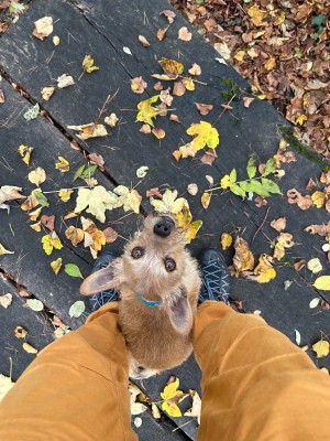 Bild 1 von Michèle zu Salewa - Women's Wildfire Edge GTX - Approachschuhe