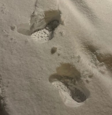 Imagen 2 de Petra sobre Salomon - Women's Outblast Ts CSWP - Botas invierno