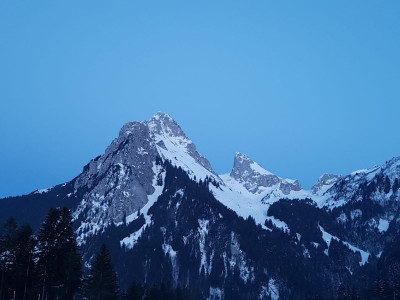 Foto 1 van chantale bij Scarpa - Mojito GTX - Vrijetijdsschoenen