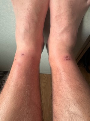 Imagen 1 de Jonathon  sobre Scarpa - Ribelle Run Kalibra G - Zapatillas de trail running