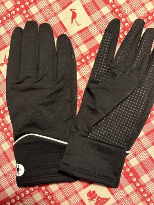 Image 1 from Elisabeth of Smartwool - Active Fleece Glove - Gloves