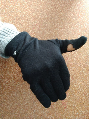 Imagen 2 de Jean-Luc sobre Snowlife - Merino Liner - Guantes