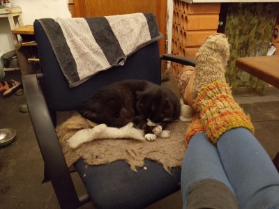 Tuotetta Stabilotherm - Kaffepott - Muki koskeva kuva 1 k&auml;ytt&auml;j&auml;lt&auml; Aggi