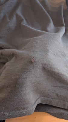 Bild 1 von Marius zu Stoic - Merino135 HovaSt. T-Shirt - Merinoshirt