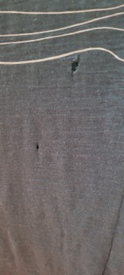 Bild 1 von Falko zu Stoic - Merino155 LaholmSt. Print T-Shirt Lines - Merinoshirt