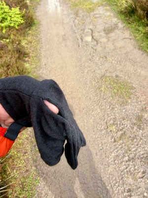 Bild 1 av Constanze till Stoic - Merino180 BengtSt. Glove - Handskar
