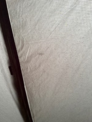 Bild 3 av Manuela till Stoic - NjavveSt. II 3P UL - 3-mannatält