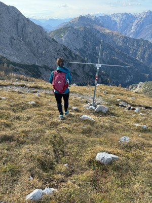 Imagen 1 de Daniela sobre Stoic - Women's HelsingborgSt. Performance Tights - Mallas de running