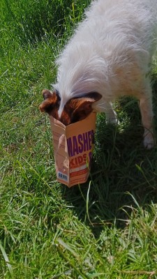 Bild 2 von Mandy zu TACTICAL FOODPACK - Kids Mashed Potatoes and Chicken