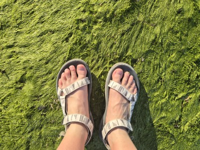 Bild 1 von Sandra zu Teva - Women's Hurricane XLT 2 - Sandalen