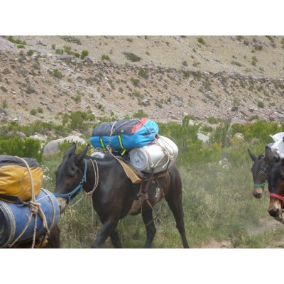 Imagen 1 de Stefan sobre The North Face - Base Camp Duffel - Bolsa de viaje