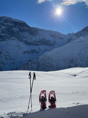 Billede 1 af Jochen vedr. TSL - Highlander Original 2 - Snesko