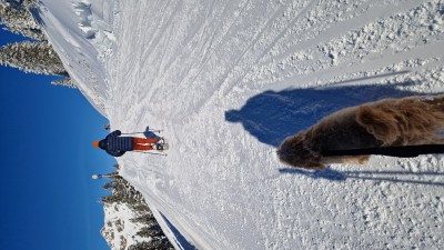 Imagen 1 de Alexandra sobre Tubbs - Flex TRK 22 Kit - Raquetas de nieve