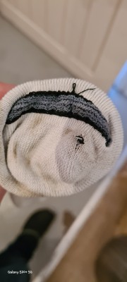 Image 1 from Matthias of Wrightsock - Coolmesh II OTC - Ski socks