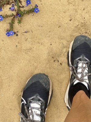 Bild 1 von Sonja zu Wrightsock - Eco Explore Quarter - Wandersocken