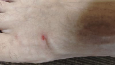 Bild 2 av Igor till Xero Shoes - Aqua X Sport - Barfotaskor