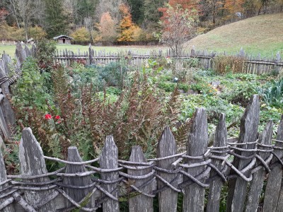 Imagen 1 de Joachim sobre XLC - Front Light XLC Comp Ariel 1W CL-F13 - Linterna frontal