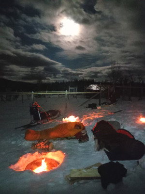 Bild 1 von Norbert zu Nordisk - Arctic 1400 - Daunenschlafsack