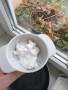 Bild 1 von Martin zu C.A.M.P. - Liquid Chalk - Chalk
