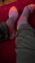 Image 2 from Susan of Darn Tough - Women's Light Hiker No Show Lightweight w Cushion - Walking socks