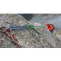 Bild 1 von Heike zu Mammut - Pendi 8.0 Dry - Halbseil