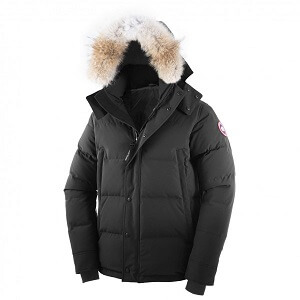 Canada Goose