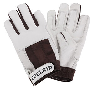 Climbing Gloves