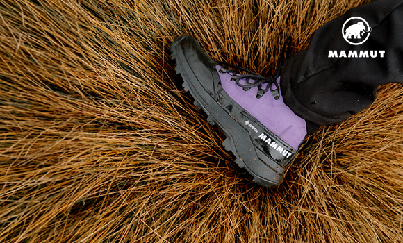 Mammut